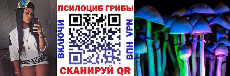 Псилоцибиновые грибы ЛСД Тбилисская
